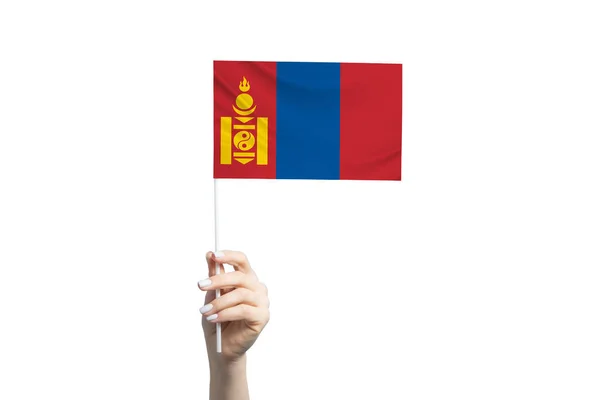 Beautiful Female Hand Holding Mongolia Flag Isolated White Background — Stock Photo, Image