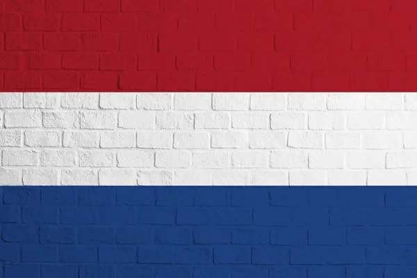 Bandeira Holanda Textura Parede Tijolo Bandeira Holanda — Fotografia de Stock