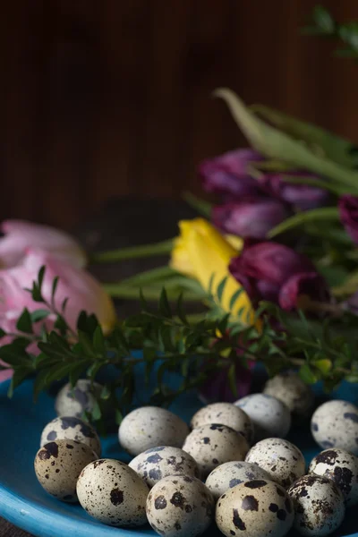 Group of quail eggs — Stock Photo, Image