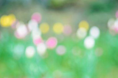 arka plan doku doğa bulanık