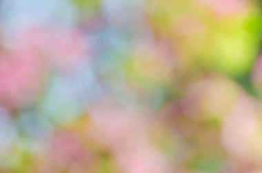 Bulanık bahar doğa arka plan