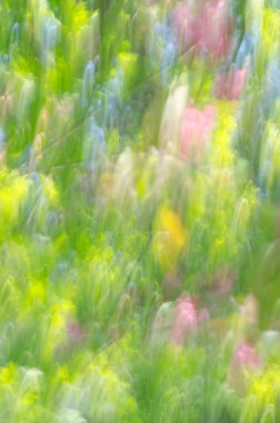 Bulanık bahar doğa arka plan