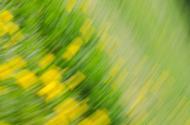 Bulanık bahar doğa arka plan