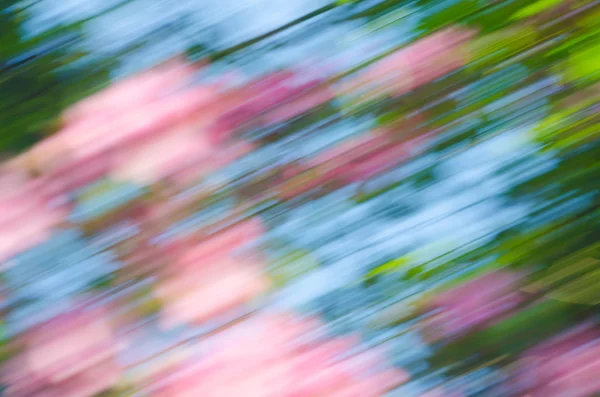 Primavera borrosa naturaleza fondo — Foto de Stock