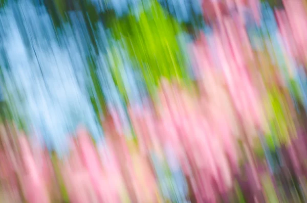 Bulanık bahar doğa arka plan — Stok fotoğraf