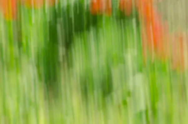 Defocused blurred spring nature background — Stock Photo, Image