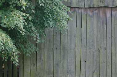 eski ahşap arkaplan dokusu