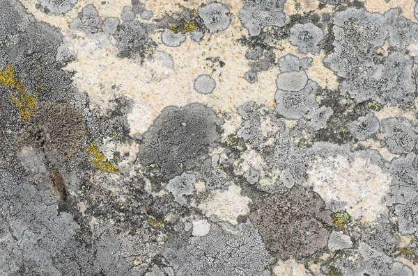 Stone background texture — Stock Photo, Image