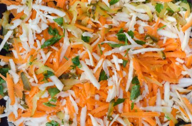 rendesi sebze salatası