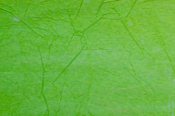 Fundo de papel de tecido verde vincado — Fotografia de Stock