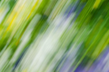 bulanık doğa arka plan 