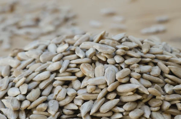 Montón de semillas de girasol — Foto de Stock