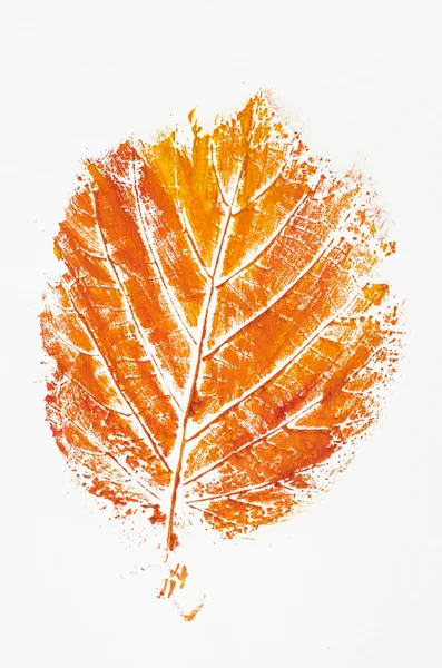 오렌지 인쇄가 잎 — 스톡 사진
