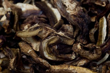 Kurutulmuş porcini mantarı yığını. Kapalı seçici odaklanma.