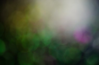 bokeh Noel ışıkları arka plan 