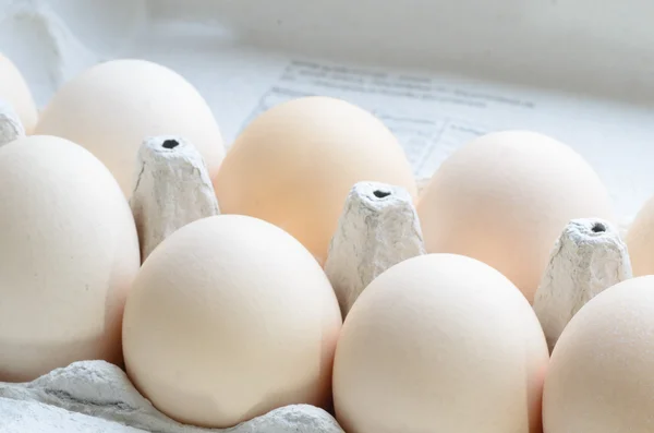 Eggs in paper egg carton — Stock Photo, Image