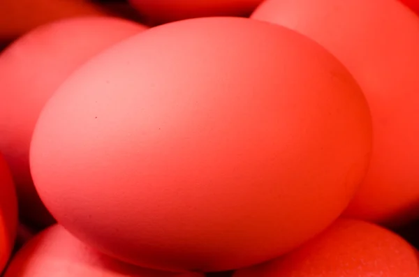 Kırmızı tavuk yumurta — Stok fotoğraf