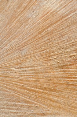 ağaç gövde ahşap arka plan kesmek