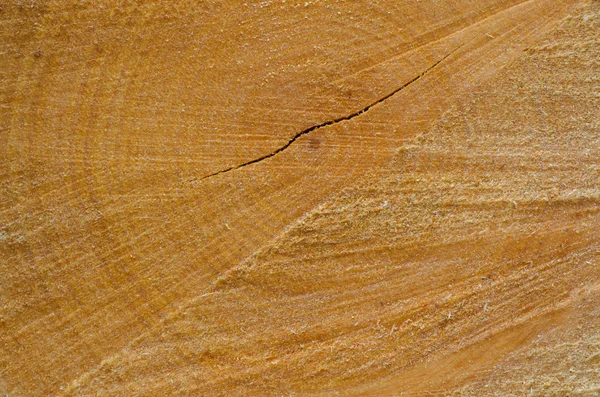 Tronco de árbol cortado fondo de madera — Foto de Stock