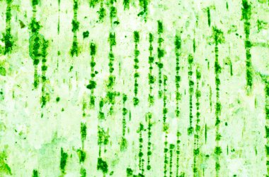 Huş kabuğu dokusu arka plan