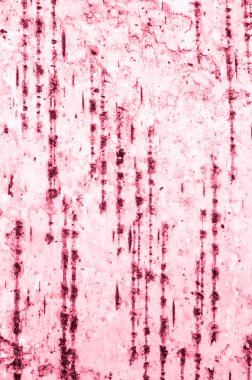 Huş kabuğu dokusu arka plan