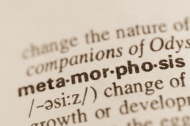 Kelimenin sözlük tanımı 