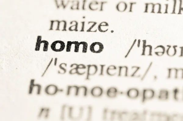 Diccionario definición de palabra homo — Foto de Stock