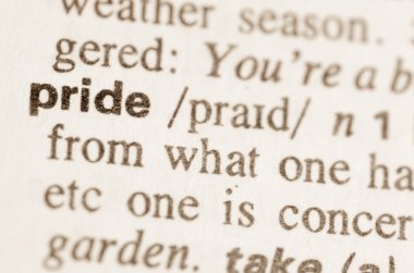 Word gurur sözlük tanımı 