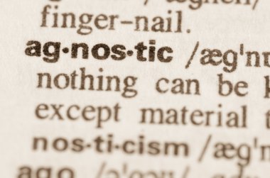 Word agnostik sözlük tanımı 