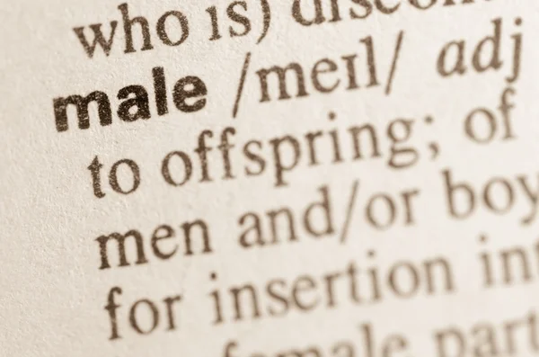 Dictionary definition of word male — Stock Photo, Image