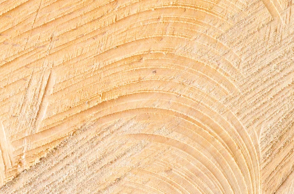 Árbol cortado textura del tronco fondo — Foto de Stock