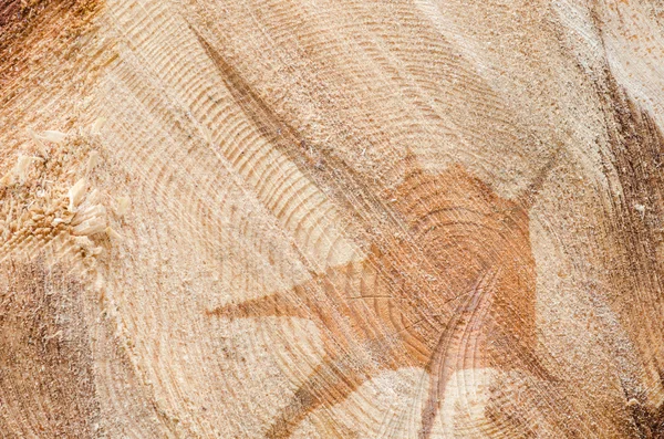 Срезание текстуры ствола дерева — стоковое фото