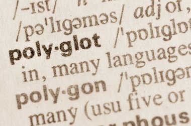 Word polyglot sözlük tanımı 
