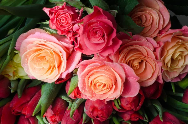 Herbacianych róż — Zdjęcie stockowe