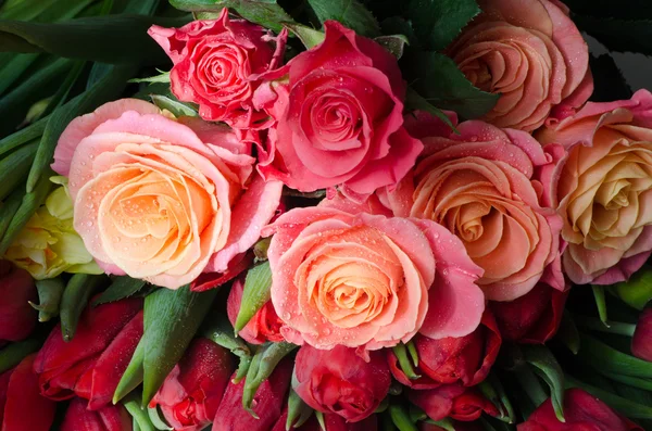 tea roses 