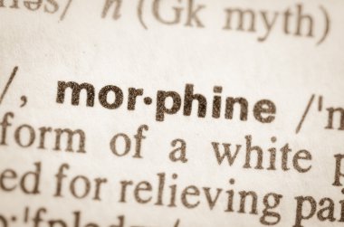 Kelime morpine sözlük tanımı 