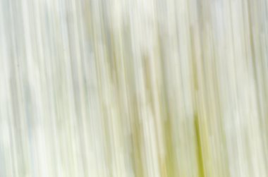 doğa Hareket Bulanıklığı arka plan