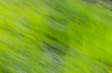 doğa Hareket Bulanıklığı yeşil arka plan