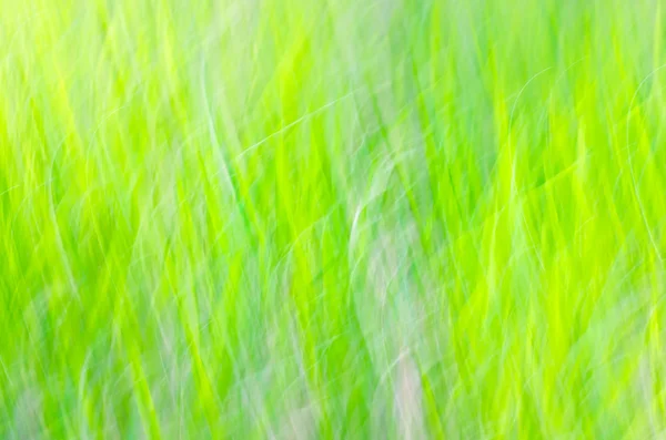 自然モーションブラー緑の背景 — ストック写真