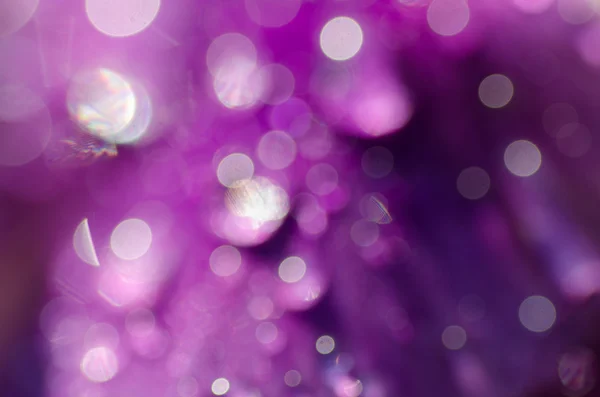 Abstrakter verschwommener violetter Hintergrund — Stockfoto