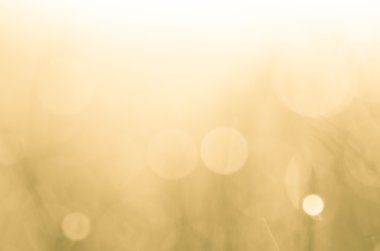 doğa bokeh arka plan 