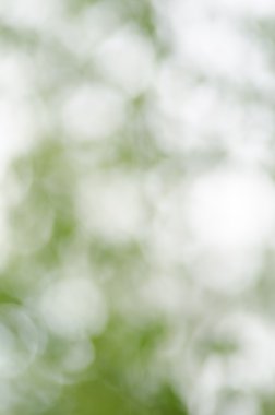  arka plan bahar doğa bulanık