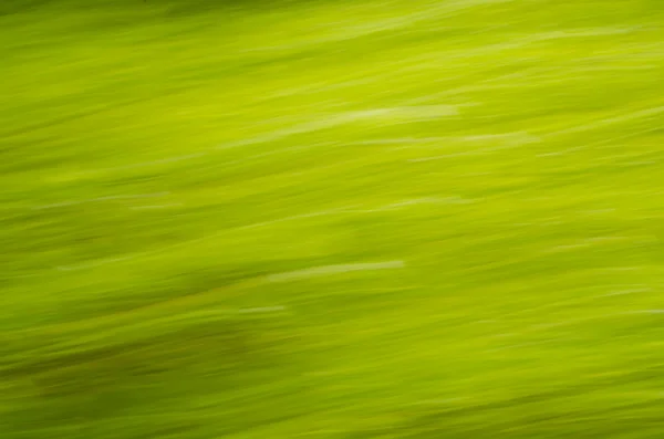 Spring nature blurred background — Stock Photo, Image