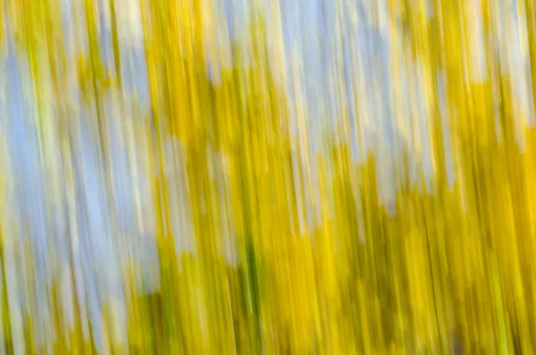 Spring nature blurred background — Stock Photo, Image