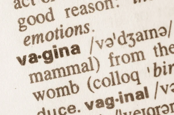 Dictionary definition of word vagina — Stock Photo, Image