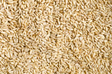 yulaf taneleri arka plan 