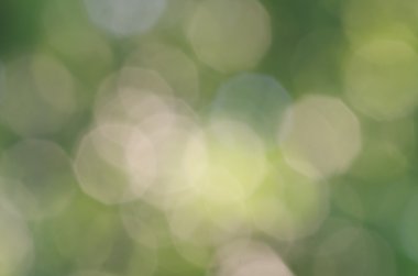 soyut bulanık bokeh arkaplanı 