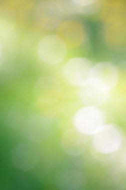 soyut doğa odak arka plan 