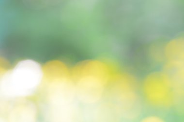 soyut doğa odak arka plan 