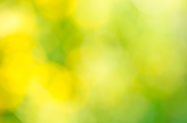 doğa bulanık çayır arka plan